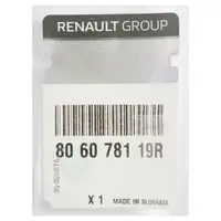 ORIGINAL Renault Türaußengriff Blende Master 3 ab Bj. 01.2017 vorne 806078119R